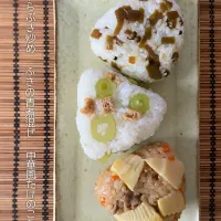 春のおにぎり3種🍙SD㊗️14周年🎉