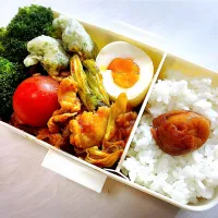 高校生娘お弁当/回鍋肉|shioshioさん