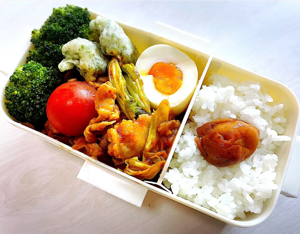 高校生娘お弁当/回鍋肉|shioshioさん