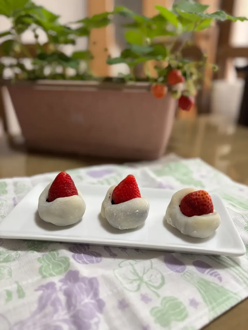 苺大福|たまちゃんさん