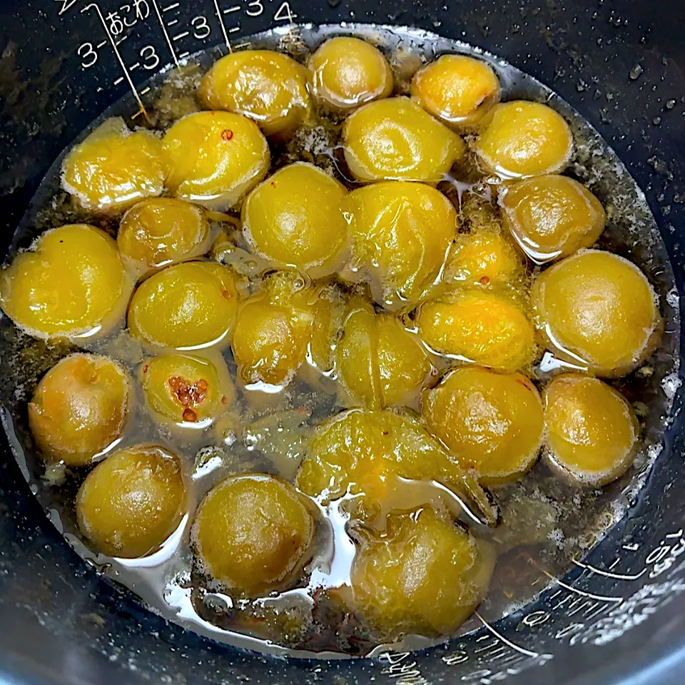 炊飯器で梅シロップ|akkoさん