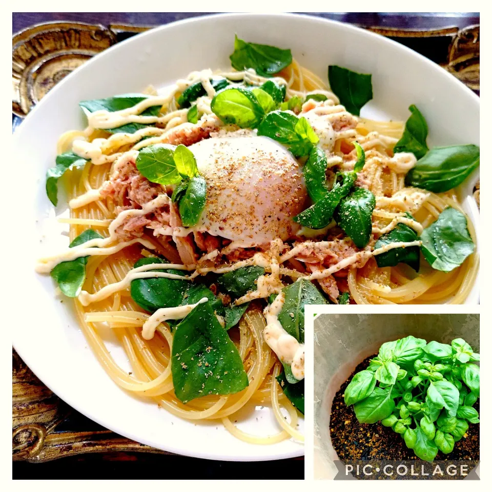 バジリコのパスタ温玉載せ〜🍝|quita (喜田)さん
