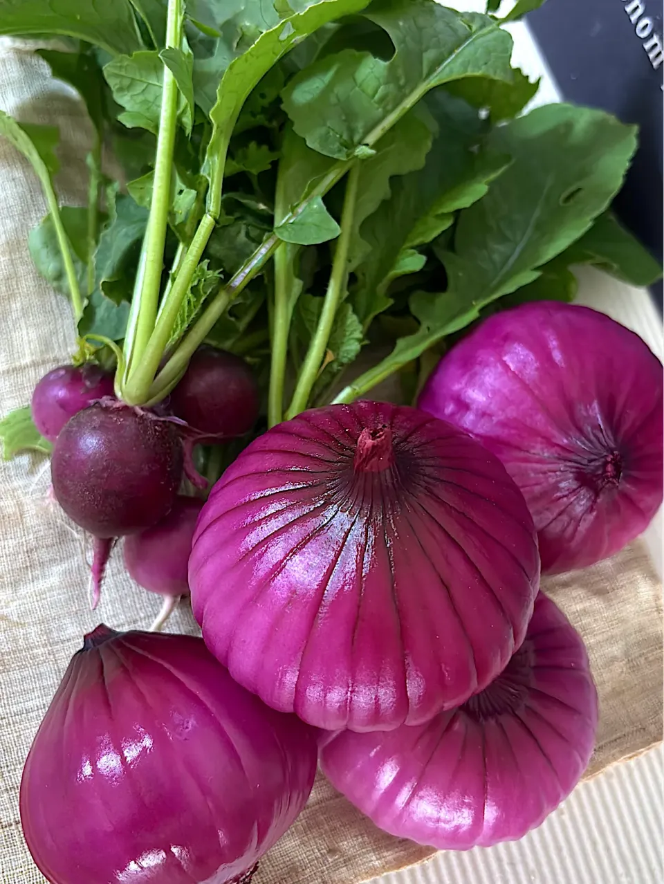 ラデッシュとたまねぎ|みゆぞうさん