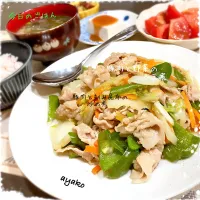 豚肉と野菜のうま煮|亜矢子さん