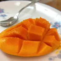 Mango|信生さん