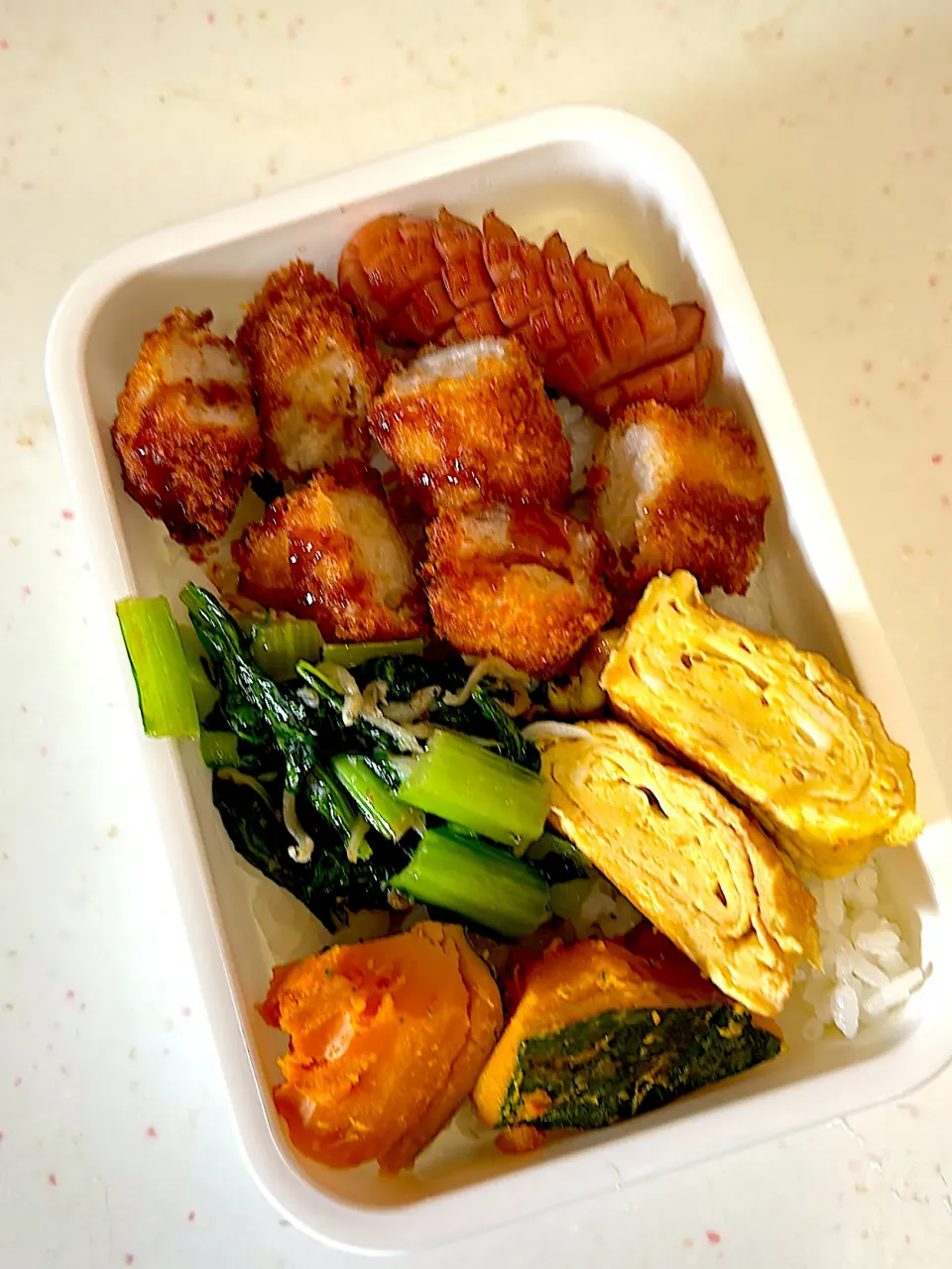 女子新入社員弁当|ぽててとさん