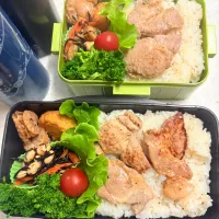 今日のお仕事&学校弁当♪2025.5.29|ぐぅさん