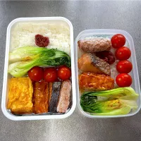 5/29  子の弁当&自分弁当|なかちゃんたまごさん