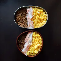5/29ふたり弁当|YUKI_Jさん