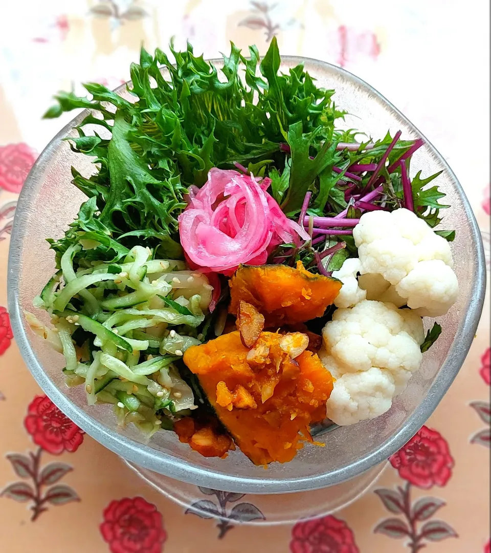 サラダ🥗|きつねさん