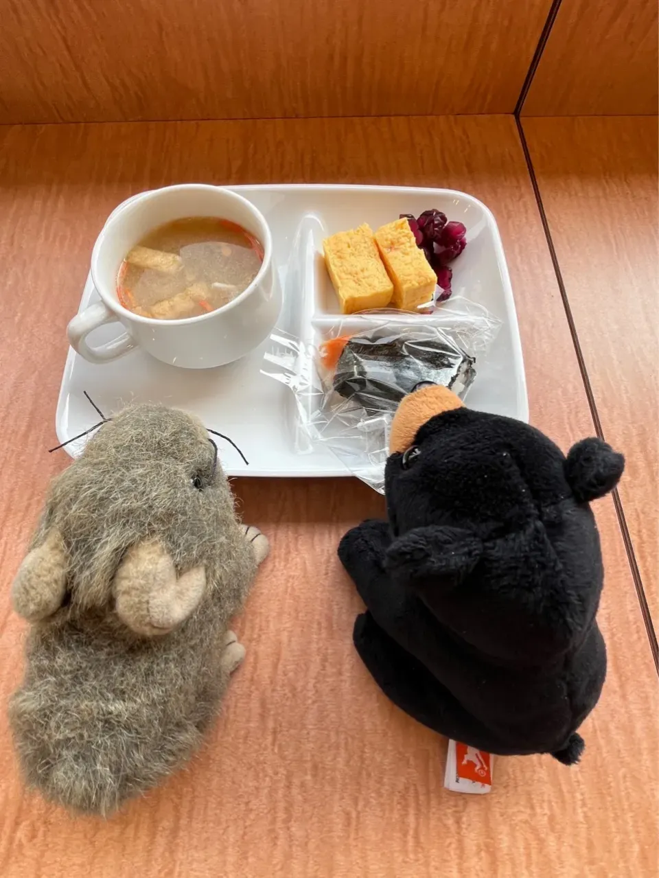 2025/5/28   朝食のおむすび　Breakfast Rice Balls|19 Boys & 野鳥さん