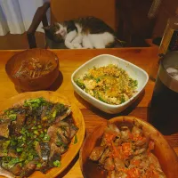 晩飯|スケチンさん