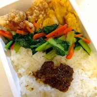 女子新入社員弁当|ぽててとさん