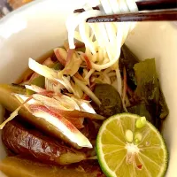 半田素麺　茄子ピー焼き浸し添え|Nobuko  Kawanishiさん