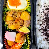 半熟卵と豚肉炒め、肉団子のお弁当|パパ手料理さん