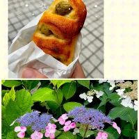 健診後のランチ| もっさんさん