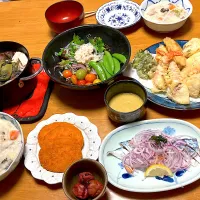 昨日29日木曜日の晩酌＆晩御飯 この日は諸用で遅くなるのが解ってたので前日に2日分シチュー、サラダ、天ぷらを作ってたので残り物Day| 🐈⸒⸒⸒⸒つるのダンス🐈🐾さん