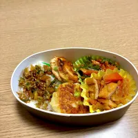 今日のお弁当|藤沢豪さん
