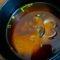 あさりのお味噌汁|kuniさん