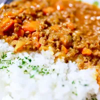 ドライカレー|アリーさん