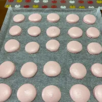 苺のマカロン焼けました|ルセットさん
