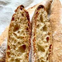 Open Crumb Sourdough Ficelles|gonbenさん