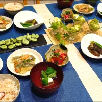 夏のおもてなし和献立