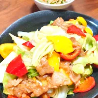 ちょっとしょっぱい回鍋肉と程よい酸味の春雨サラダ|mootsさん