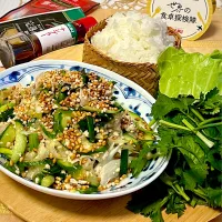 ラープ ガイ(鶏ひき肉のスパイシーサラダ)|あゆさん