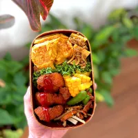 お弁当|natsu727さん