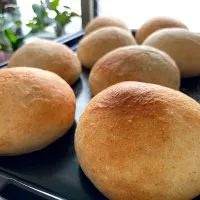 ＊コッペパン🥖＆バーガーバンズ🍔＊|＊抹茶＊さん