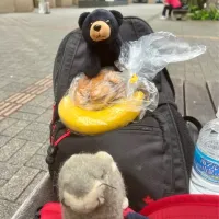 2025/6/1  健康的な旅ランチ？　An Almost Healthy Lunch on the Go|19 Boys & 野鳥さん