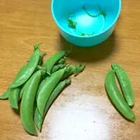 鎮痛剤が効くまでスナップエンドウの下処理笑|🐈⸒⸒⸒⸒つるのダンス🐈🐾さん