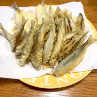 キスと小鮎の天ぷら|masakiさん