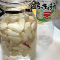 らっきょう漬け|ともえ☆さん