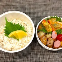 高校生息子のお弁当🍱 鶏肉のチーズ焼きと肉巻き弁当🍱|Snow10さん