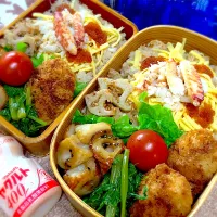 今日の夫婦弁⁽⁽ ◟(灬 ˊωˋ 灬)◞ ⁾⁾💕| 桃実さん