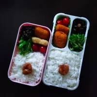 6/3ふたり弁当|YUKI_Jさん