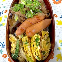 6/3 🍱|Elinaさん