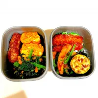 today's BENTO|DOBBYさん