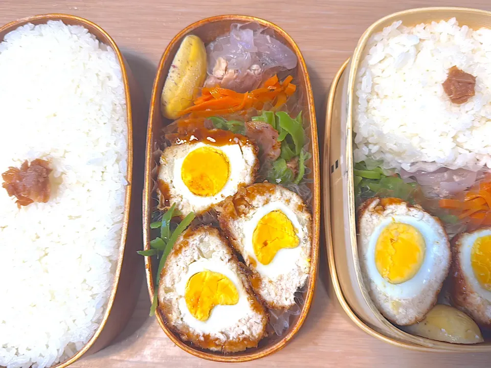 スコッチエッグ弁当🍱|ふみふみさん
