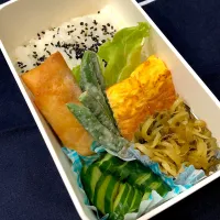 ごま塩ご飯、たまご焼き、春巻、もやしと高菜とお揚げの煮浸し、蛇腹きゅうり、インゲンの味噌マヨ|きらきらさん