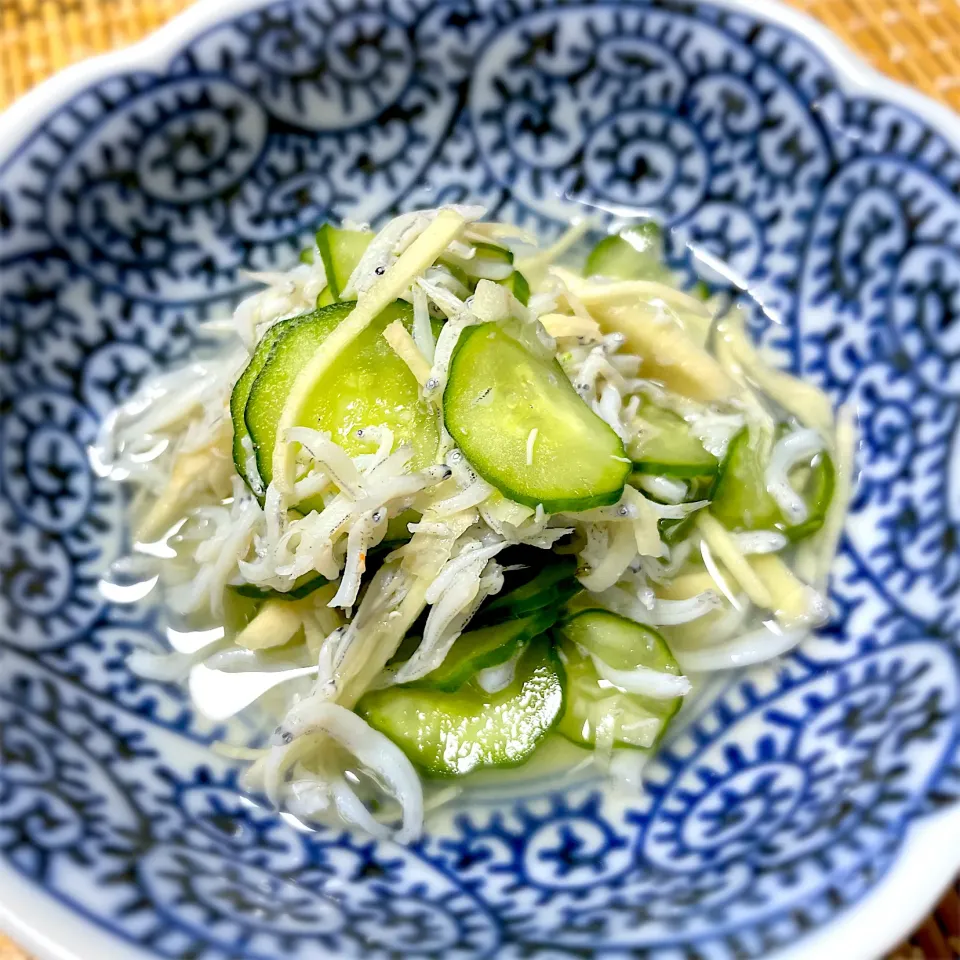 シラス、生姜、きゅうりの酢の物|藤田 まり子さん