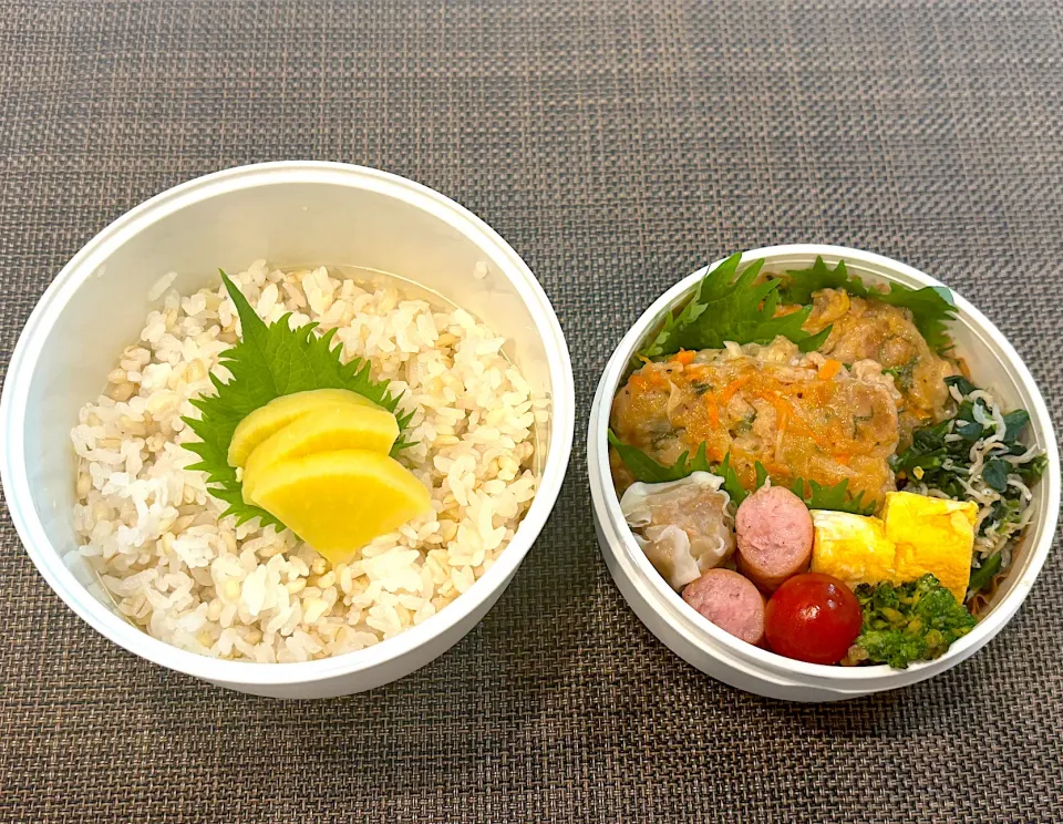 高校生息子のお弁当🍱 豚こまバーグ弁当🍱|Snow10さん