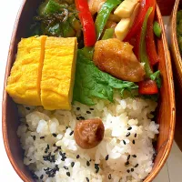 彩り豊かな甘酢炒め弁当🍱|リラさん