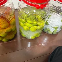 梅酒&梅シロップ|さとこなみかんさん