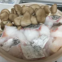 暑くなってきました                                       今シーズン最後であろう鱈ちり|kamekameさん