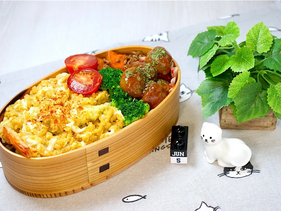 今日のお弁当 25/06/05|しげさん