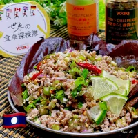 🇱🇦豚ひき肉のラープ（ブーじゃなくて【ໝູムー）】|パパ氏さん