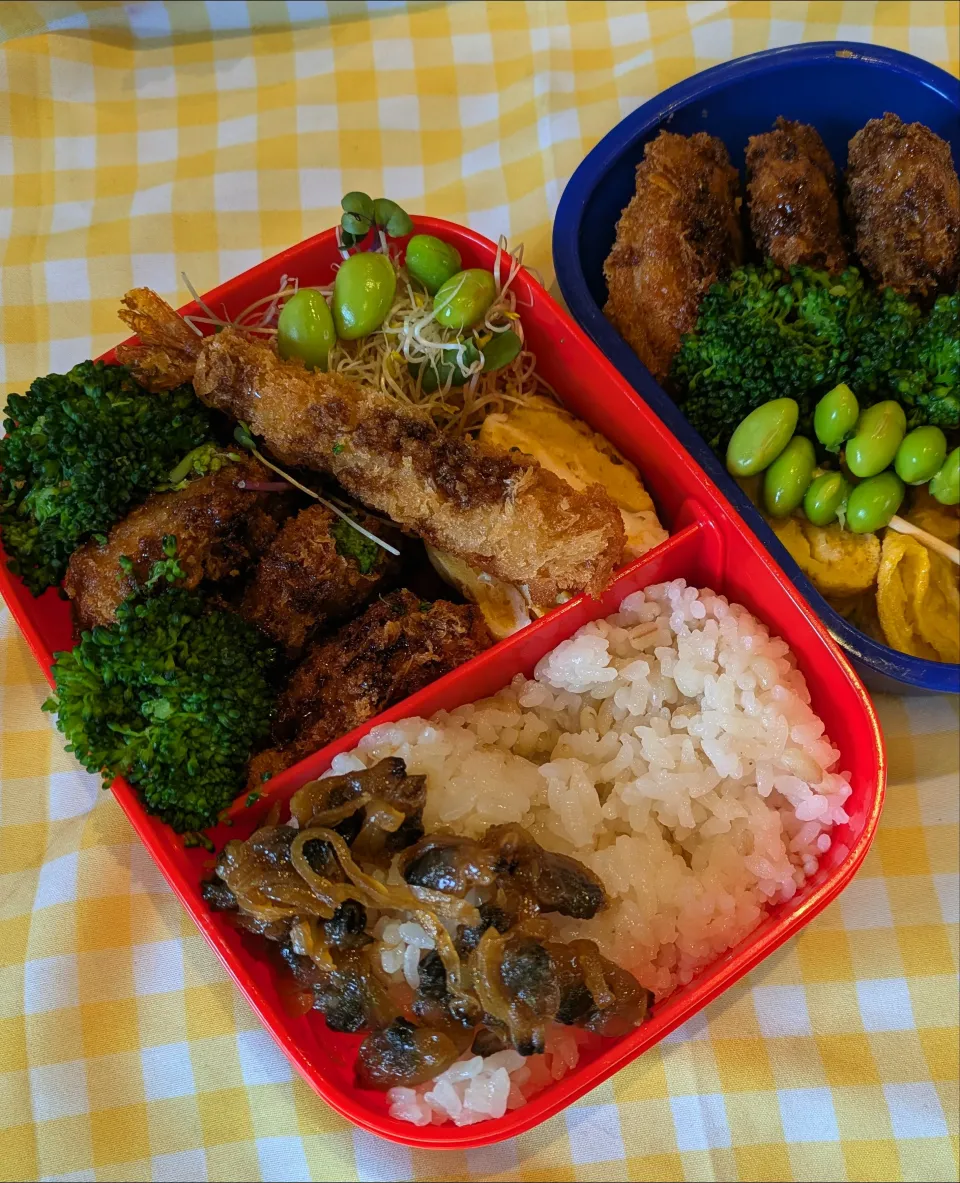 6/5 ヒレカツ弁当|母さんのオベント記録さん